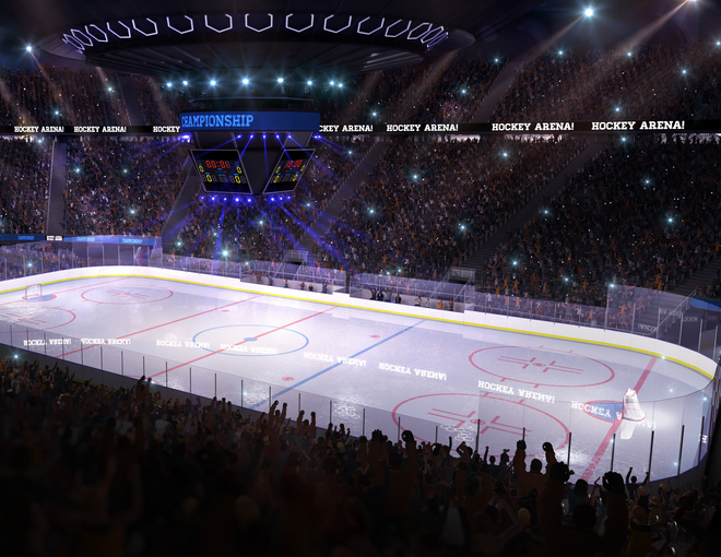 Sports and Public Venues: NHL