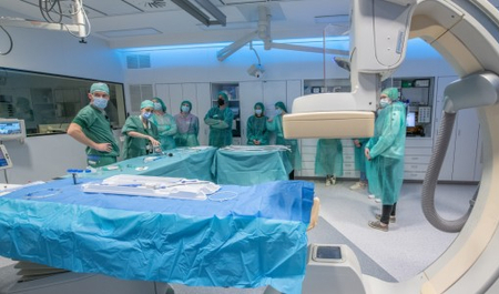 ZOL Case Study Image