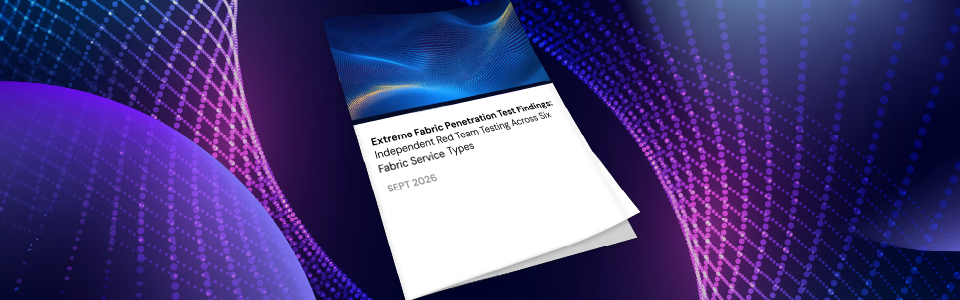 Extreme Fabric Penetration Test Findings_960x300