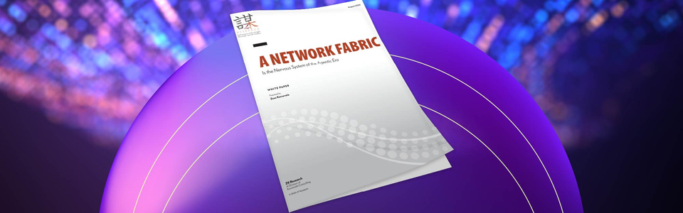 66409-ZK-Research-Fabric-White-Paper-Images_v1_960x300.jpg