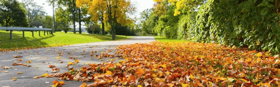 Orchard Park's IT Transformation with Extreme Networks Blog Image